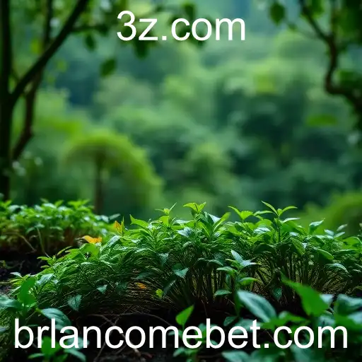 Lancomebet e a Influência das Plataformas de Apostas no Brasil